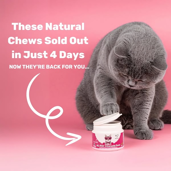 A square-ratio ad featuring a cat interacting with a product jar on a solid pink background, using a text-based scarcity hook.
